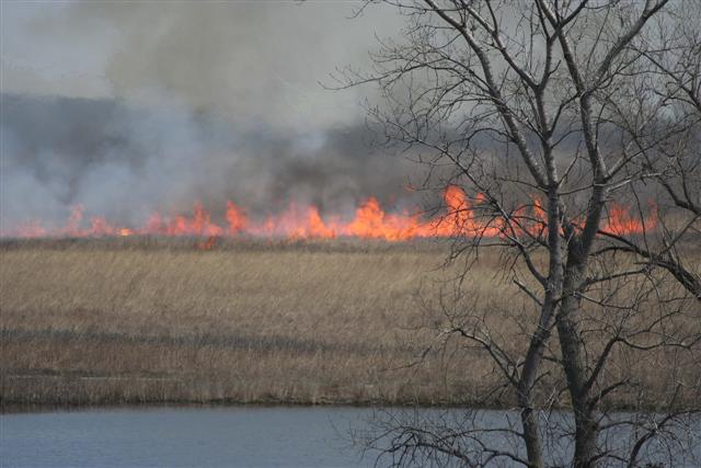 A closer look at the Burn Line.