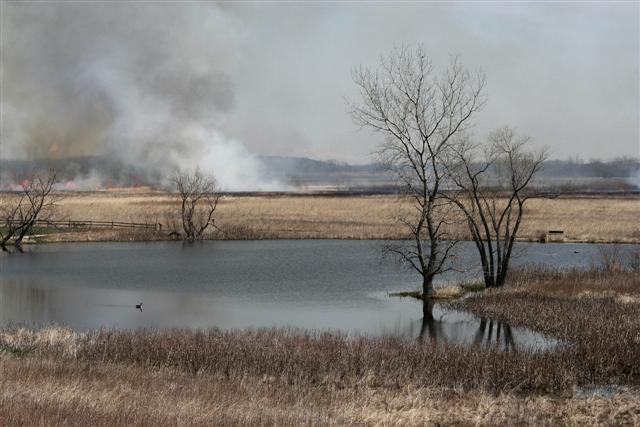 Prairie Fire North of the Cragg Cabin.  The fence is just visible in the left side of the photo.